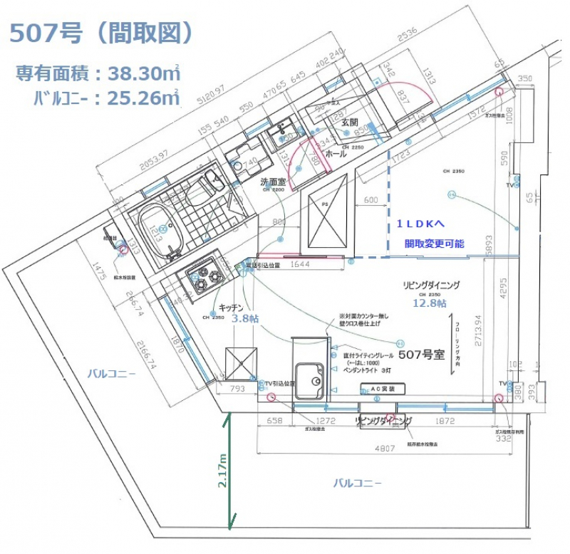 自由ヶ丘スカイ５０７間取り図（変更可能