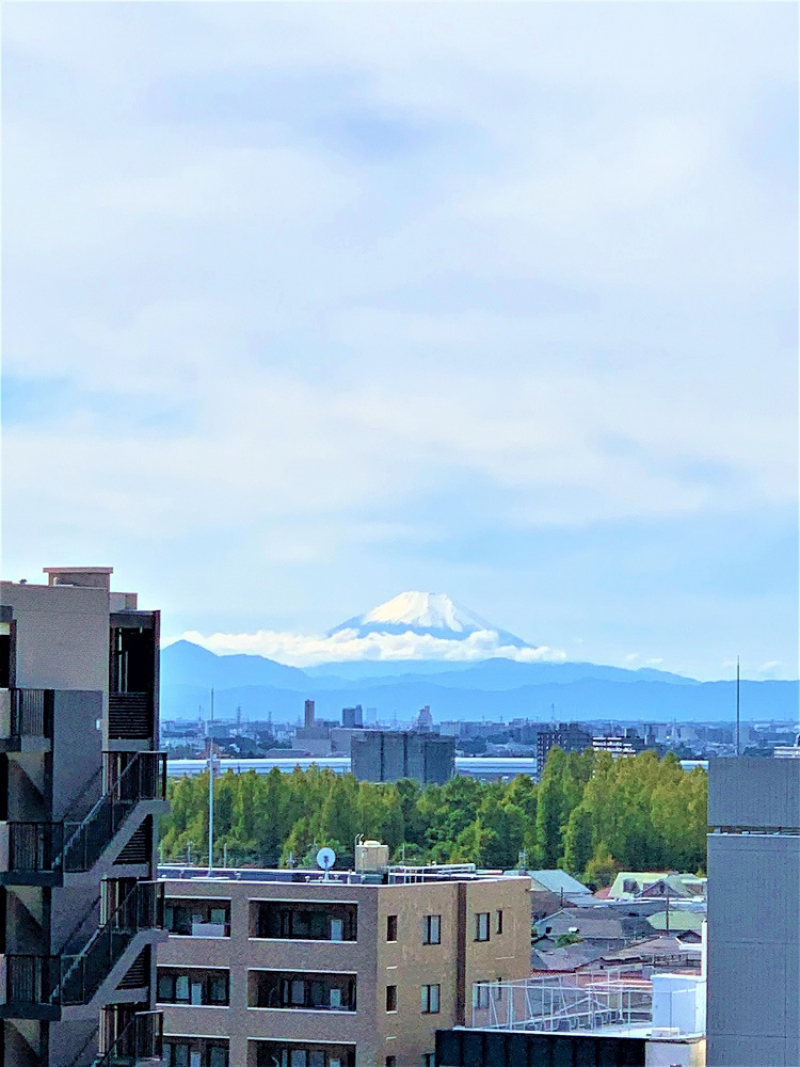 西側の窓からは富士山が望めます