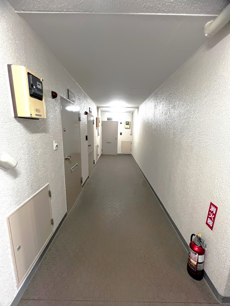 南向きのため、室内は日当たり良好です